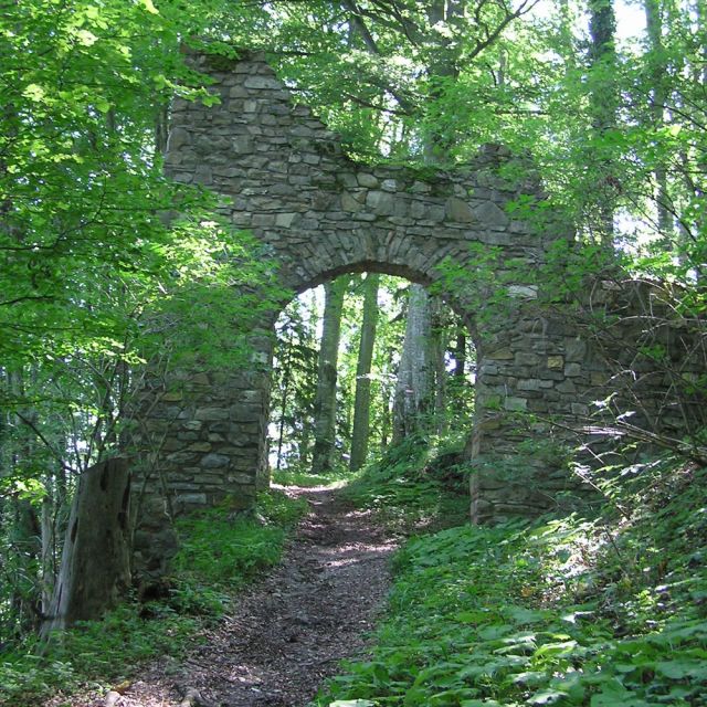 Henndorf: Burg Lichtentann, äußres Burgtor © „Lichtentann äußeres Burgtor außen“ von Werner Haselboeck - Eigenes Werk (own photography). Lizenziert unter Gemeinfrei über Wikimedia Commons - https://commons.wikimedia.org/wiki/File:Lichtentann_%C3%A4u%C3%9Feres_Burgtor_au%C3%9Fen.jpg#/media/File:Licht