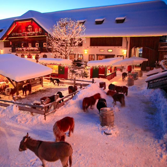 Henndorf / Gut Aiderbichl in Weihnachtsstimmung mit Tieren und Schnee © Gut Aiderbichl